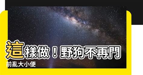 門口狗大便|誰知道讓狗不再到我家門口大便的方法？？？